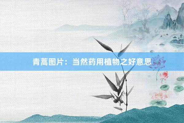 青蒿图片：当然药用植物之好意思