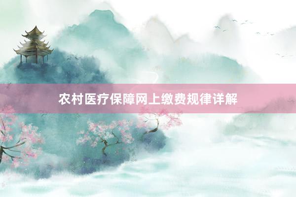 农村医疗保障网上缴费规律详解