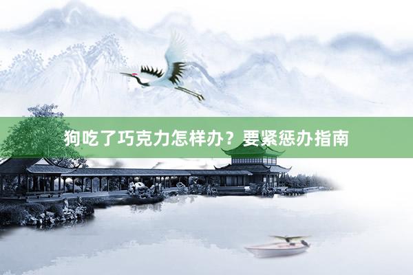 狗吃了巧克力怎样办？要紧惩办指南